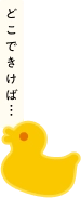 どこにきけば...